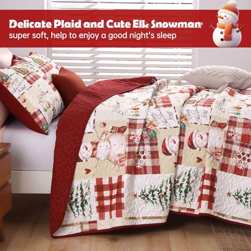 Christmas Quilt Set Queen Size 3-Piece Bedspread Bedding with Reindeer Snowman Pattern - Red & Green