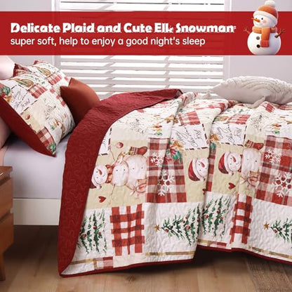 Christmas Quilt Set Queen Size 3-Piece Bedspread Bedding with Reindeer Snowman Pattern - Red & Green