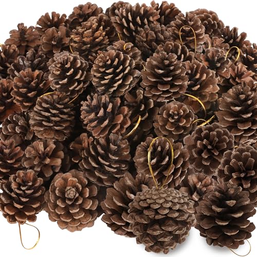 50 Pack Natural Pine Cones for Crafts and Holiday Decor - 1.96 Inches with Gold String - Rustic Christmas Ornaments & Table Decorations