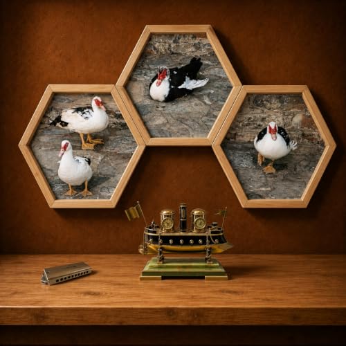 Unfinished Pine Hexagon Shadow Box 12x12 Inch - Rustic Wall Decor Set of 3