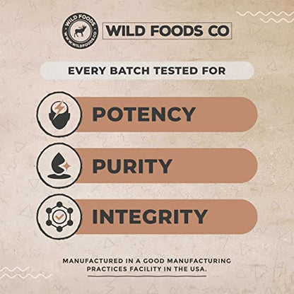 Wild Foods Immune Support Tea | Organic Elderberry, Currant, Hibiscus and Cranberry | Superberry Antioxidant Blend Loose Leaf Herbal Teas | Natural Immunity Boost | (4 ounces)