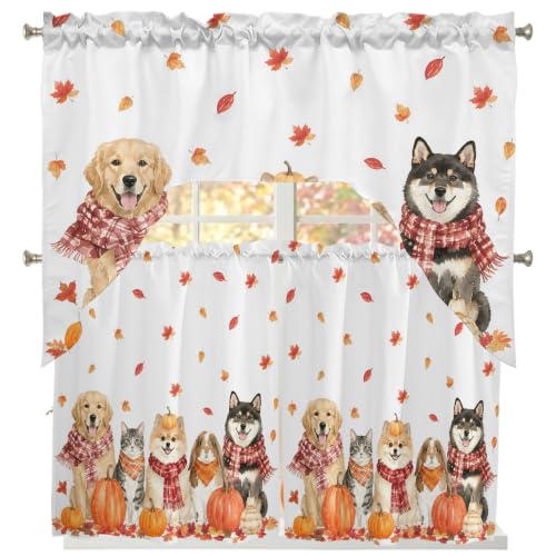Autumn Fall Dogs Cats Kitchen Window Curtains Set 24 Inch Length - Orange Red White, 3 Piece Swag Valance and Tiers, Maple Leaves Thanksgiving Decor