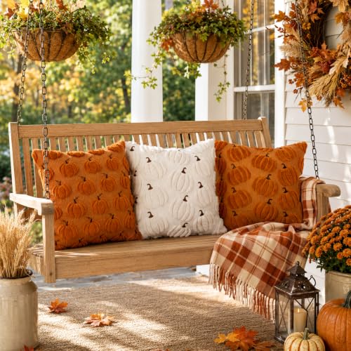 Orange Pumpkin Fall Pillow Covers 18x18 Set of 2 Plush Thanksgiving Decor