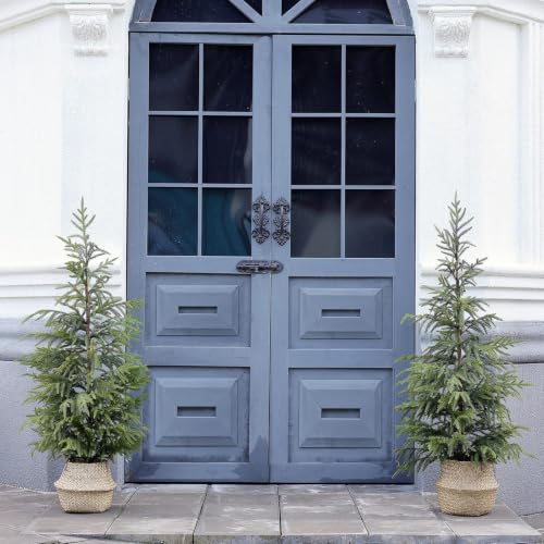 2-Pack Artificial Norfolk Pine Trees - 4FT Potted Christmas Decor for Front Door