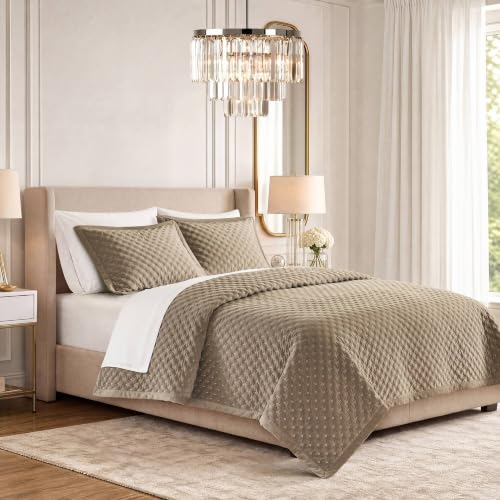 Queen Velvet Quilt Set with Cross Stitch Embroidery Taupe - 3 Piece