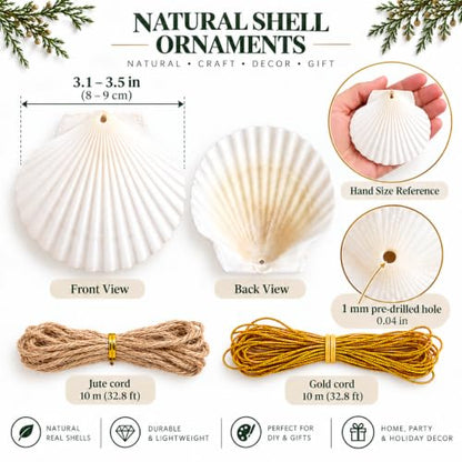 20pcs Natural Drilled Scallop Shells for Crafts & Decor 3.14-3.5 Inch