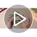 Mini Christmas Wreath Gift Topper Set - Cedar, 6 Pcs 1.97'' Holiday Decor