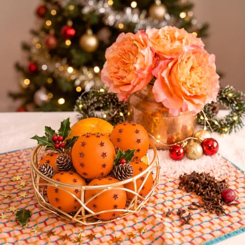 6 Pack Clove Orange Pomander Balls for Holiday Decor, Vase Fillers & Seasonal Table Centerpieces