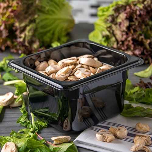 Musical Note Plates (8/Pkg)