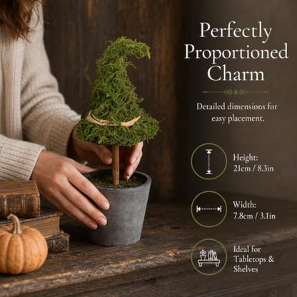 Grey Halloween Witch Hat Topiary Plant with Pot - Artificial Moss Decor
