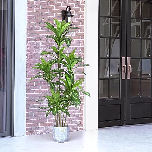 6Ft Artificial Dracaena Fragrans Tree - Faux Indoor Outdoor Plant with 8 Heads
