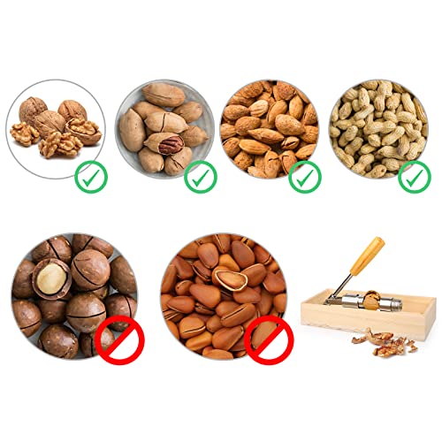 Heavy Duty Nutcracker with Wooden Bowl and Adjustable Cone for All Sizes of Nuts