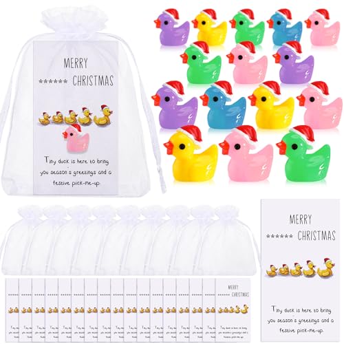 Bright Christmas Inspirational Gift Set with Ducks & Motivational Cards - 24 Sets