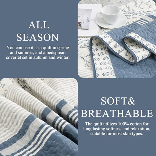 Oversized Cotton King Quilt Set with Botanical Stripe Design - Moonlight Blue/Gray/Off White, 106"x118"