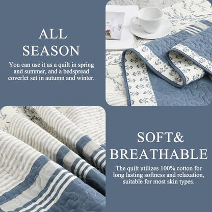 Oversized Cotton King Quilt Set with Botanical Stripe Design - Moonlight Blue/Gray/Off White, 106"x118"