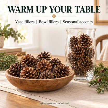 Brown Natural Pine Cones for Crafts and Holiday Decorations - 30Pcs