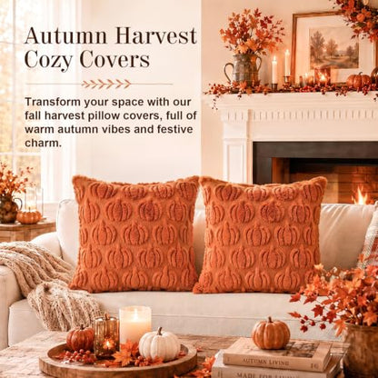 Caramel Fall Pillow Covers 18x18 Set of 2 Pumpkin Plush Decor
