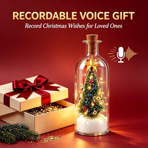 Christmas Snow Globe with Voice Recording and Festive Scene