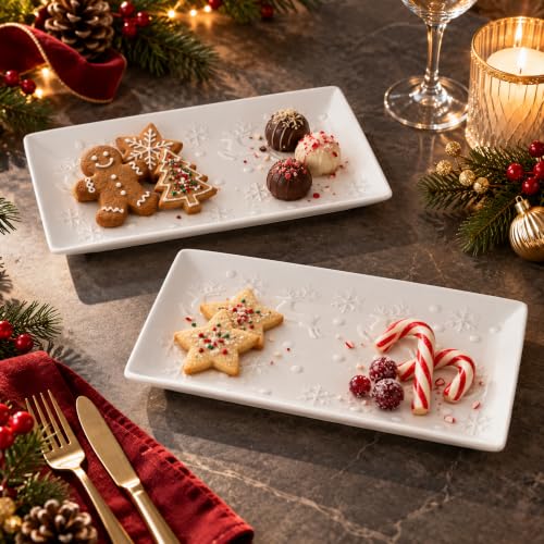 11 Inch Reindeer Ceramic Serving Platters - Set of 2 Christmas Snowflake Dinnerware