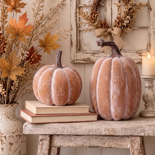 Artificial Resin Fall Pumpkin Decor Set - Terracotta Finish, 2 Pieces