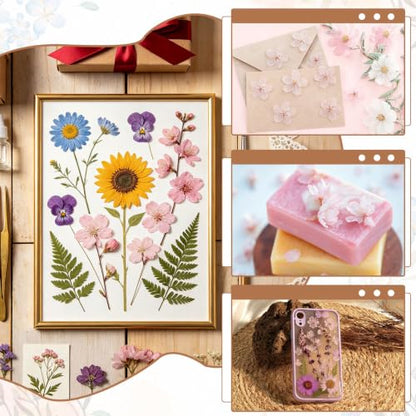 Pressed Dried Flowers for Crafts - Dark Pink Cherry Blossom, 12 Pcs