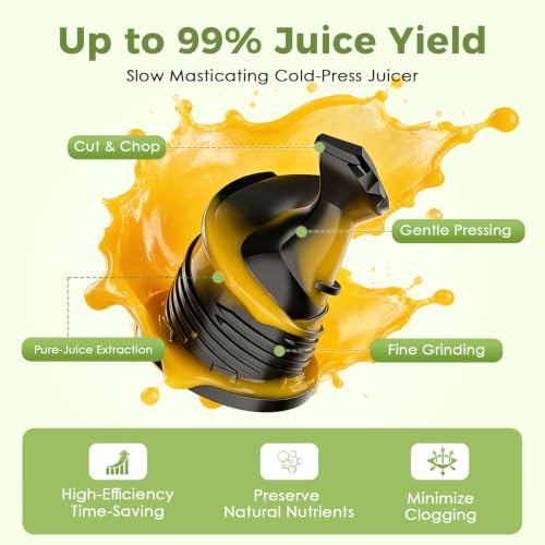 Cold Press Juicer Masticating Slow Juicer with Dual Collection Cups
