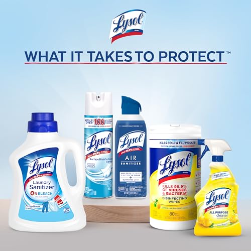 Lysol Dual Action Disinfectant Wipes, Multi-Surface Antibacterial Scrubbing Wipes, Dorm Room Essentials, Citrus Scent, 75ct (Pack of 4), Packaging May Vary