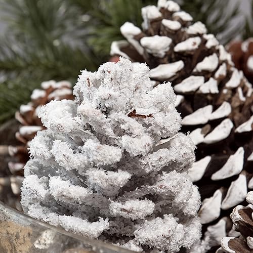 ANDALUCA Frosted Pinecone Vase Fillers - Scented Holiday Decor, 1 Bag