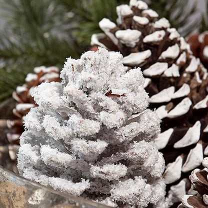 ANDALUCA Frosted Pinecone Vase Fillers - Scented Holiday Decor, 1 Bag