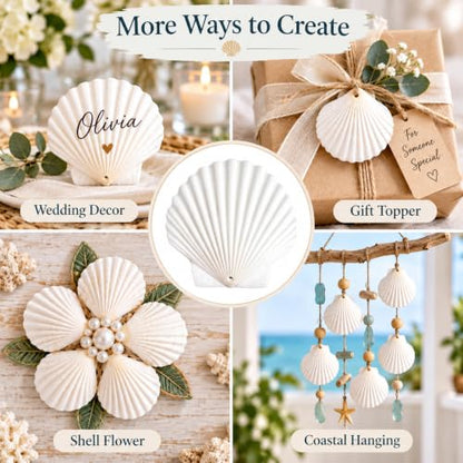 20pcs Natural Drilled Scallop Shells for Crafts & Decor 3.14-3.5 Inch