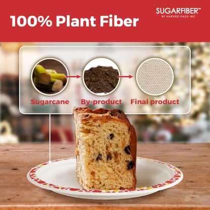 9 Inch Compostable Christmas Paper Plates Holiday Party Disposable Dinnerware - Harvest Pack
