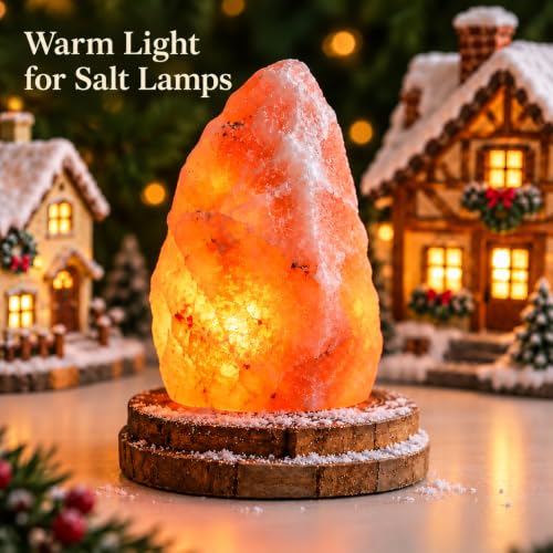 Minetom 6 FT LED Accessory Cord for Christmas Village Lights - Warm White, 4 Pack