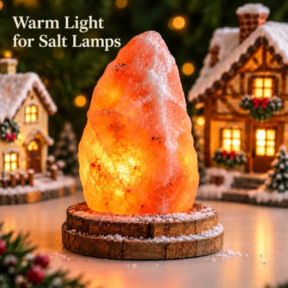Minetom 6 FT LED Accessory Cord for Christmas Village Lights - Warm White, 4 Pack