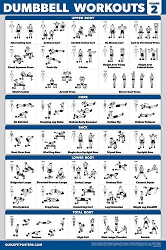 Palace Learning Dumbbell Workout Posters - Laminated Exercise Charts (18" x 24") | 3 Pack Volumes 1-3