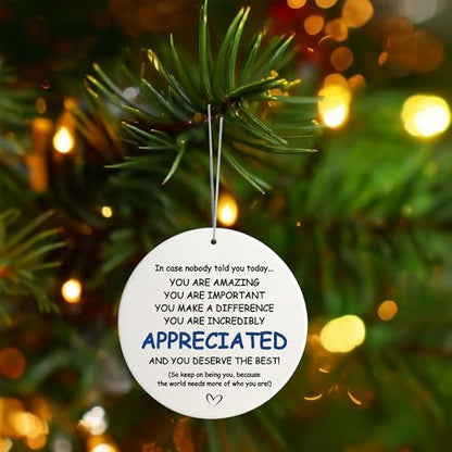 You Are Appreciated Nurse Teacher Retirement Ornament - Holiday Gift for Coworkers