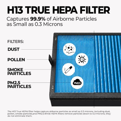 Blue Pet Care Replacement Air Purifier Filter Set for A282 - 2 Pack