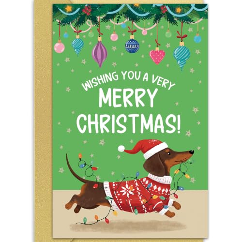 Funny Dachshund Christmas Card - Holiday Card for Dog Lovers - Cute Xmas Card for Men Women - Variation 03