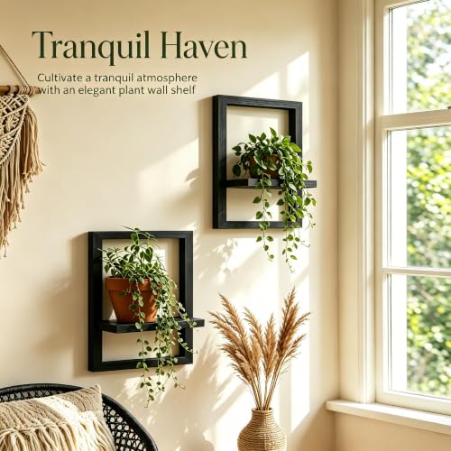 Rectangular Wooden Wall Shelf for Indoor Plants - Set of 2 Black Shelves