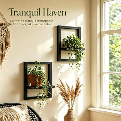 Rectangular Wooden Wall Shelf for Indoor Plants - Set of 2 Black Shelves