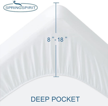 Skiennix Queen Mattress Protector - Waterproof Fitted Cover with Absorbent Terry | 18'' Deep Pocket