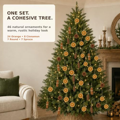Natural Christmas Decorations Set with Dried Orange, Cinnamon, Pinecones