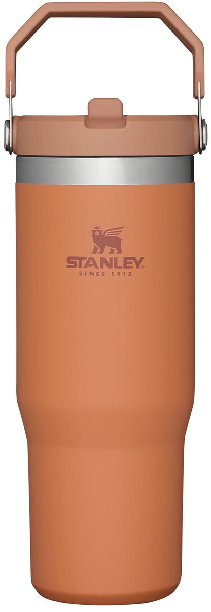 STANLEY IceFlow Stainless Steel Tumbler - Vacuum Insulated Water Bottle for Home, Office or Car Reusable Cup with Straw Leak Resistant Flip Cold for 12 Hours or Iced for 2 Days, Ochre, 30 OZ / 0.89 L