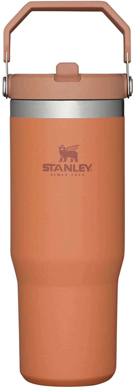 STANLEY IceFlow Stainless Steel Tumbler - Vacuum Insulated Water Bottle for Home, Office or Car Reusable Cup with Straw Leak Resistant Flip Cold for 12 Hours or Iced for 2 Days, Ochre, 30 OZ / 0.89 L