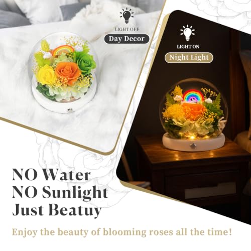 Rainbow Preserved Roses in Glass Dome with LED Nightlight - Aesthetic Gift for Her