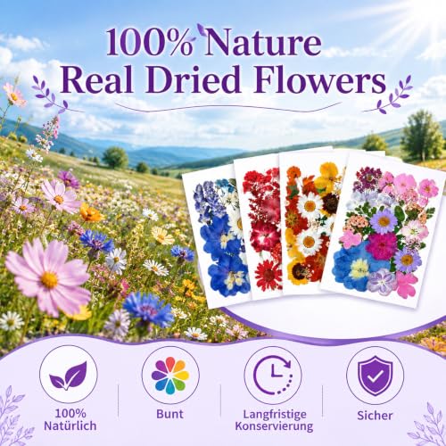 76 Pcs Natural Dried Flowers for Resin Crafts, Pressed Flower Decorations
