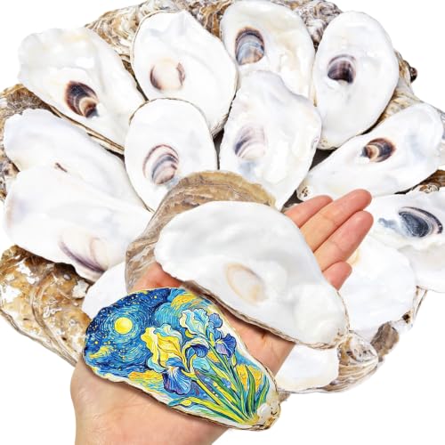 Natural Flat Oyster Shells 4-6 Inches for Crafts and Decor - Set of 20