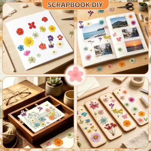 Dried Pressed Flowers Kit for Resin Crafts - Multicolored, 100+ Flowers & Leaves