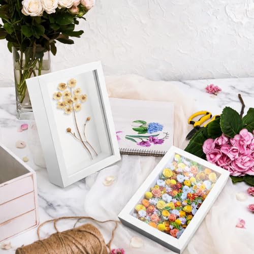 12 Pack Small Wood Shadow Box Frames 4x6 Inch for Dried Flowers Photos Memorabilia