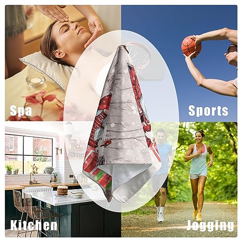 Red Gnome Winter Holiday Hand Towels for Bathroom Kitchen Decor 2Pcs