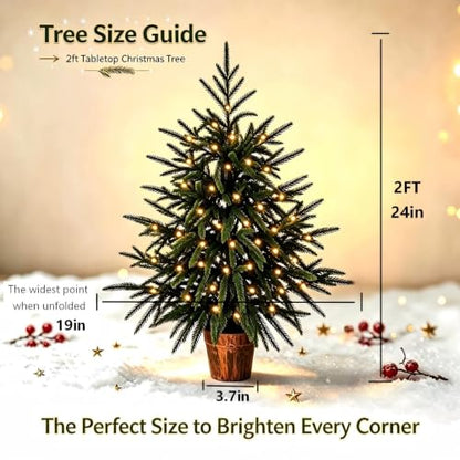 Green 2ft Prelit Artificial Norfolk Pine Christmas Tree - Indoor Decor